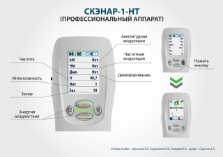 СКЭНАР-1-НТ (исполнение 01)  в Верее купить Нейродэнс ПКМ официальный сайт - denasdevice.ru 